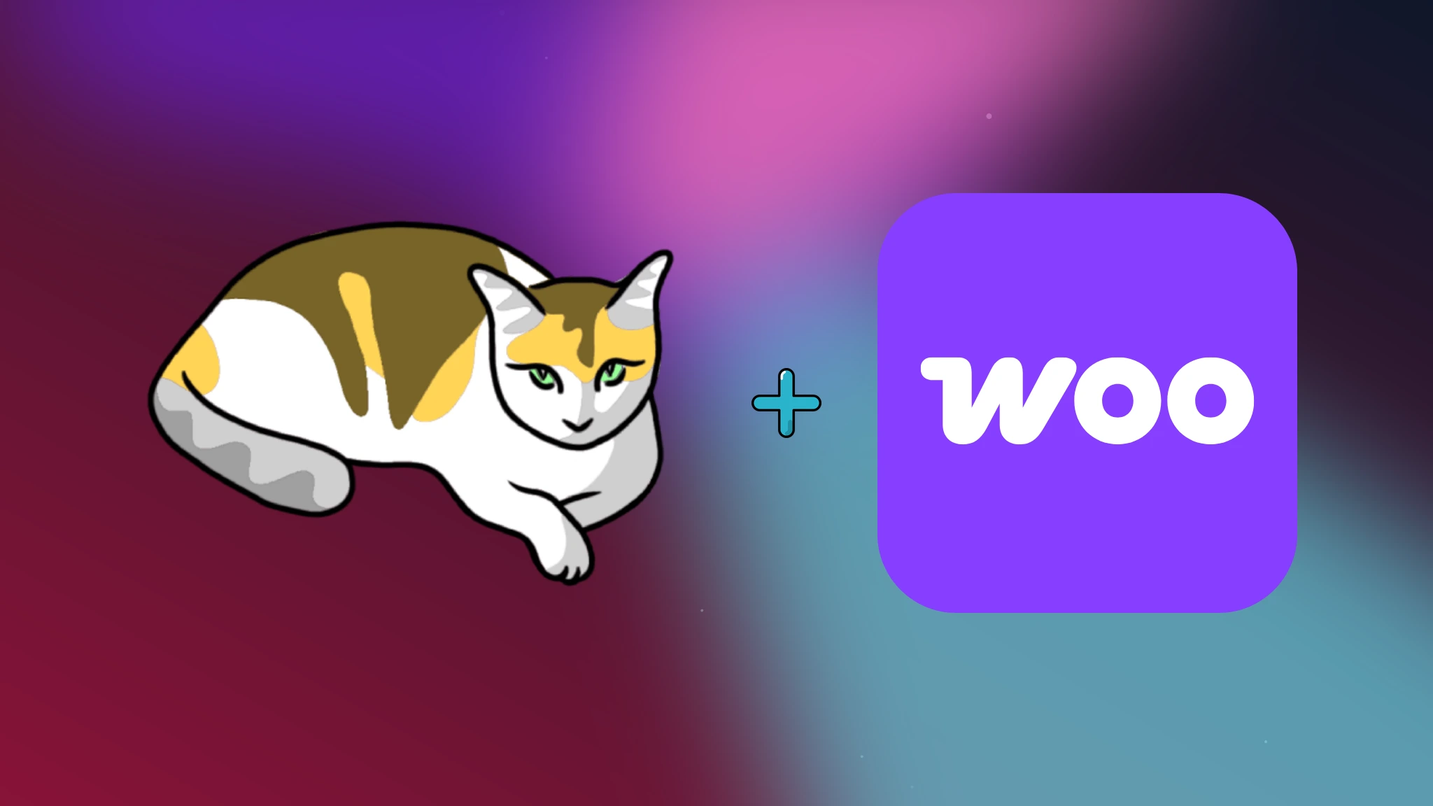 Extension WooCommerce pour Gato GraphQL