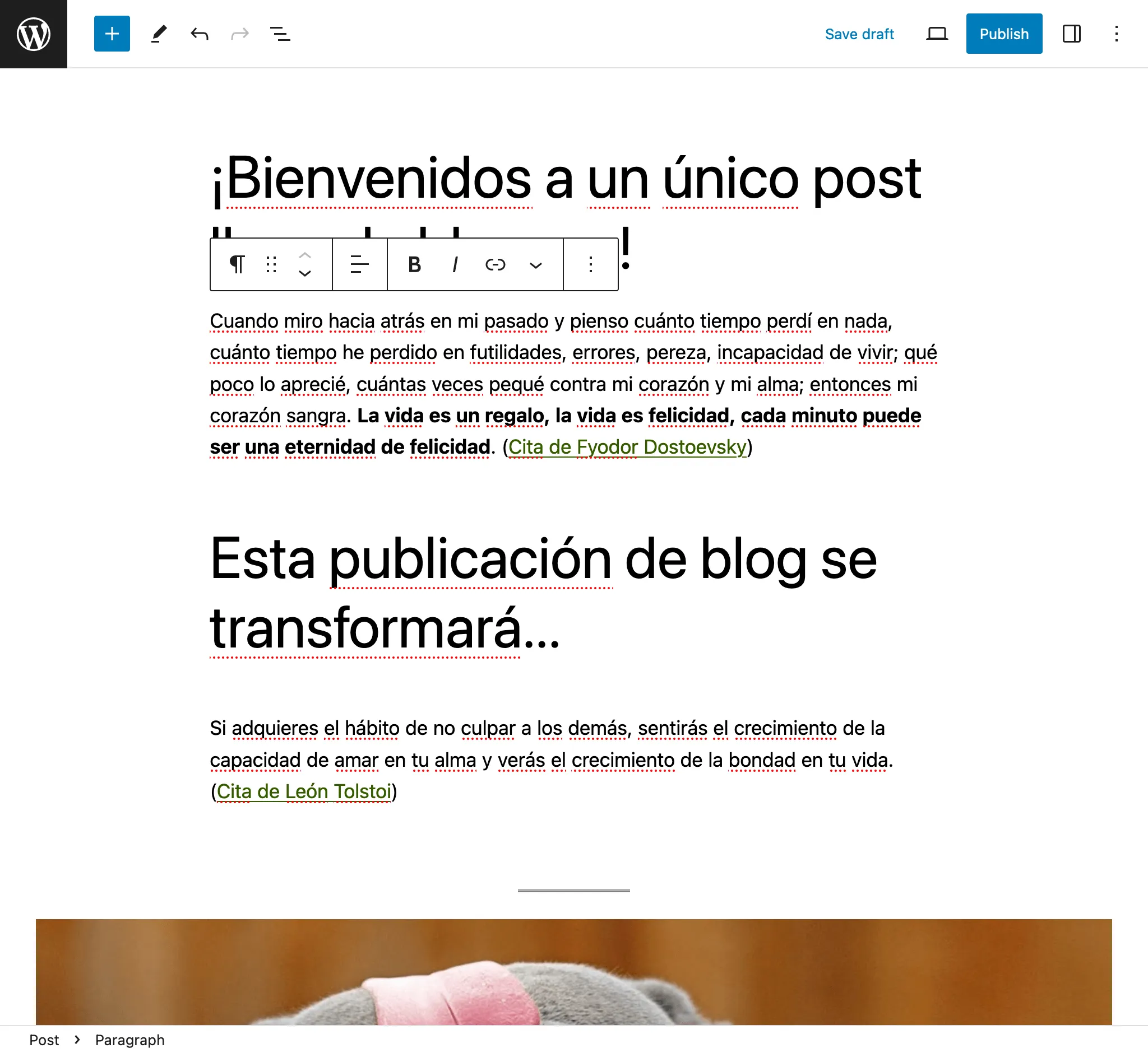 Correction de la traduction dans l'éditeur WordPress